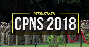 CPNS 2018