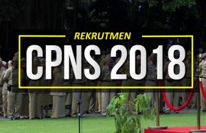 CPNS 2018