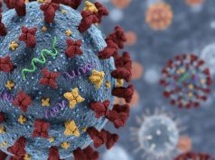 Sudah 62 Kasus Super Flu di Indonesia, Seberapa Bahaya Influenza Subclade K ini?