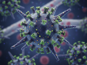 Waspada Virus Nipah! Kemenkes Terbitkan Edaran Antisipasi Usai Kasus Muncul di India