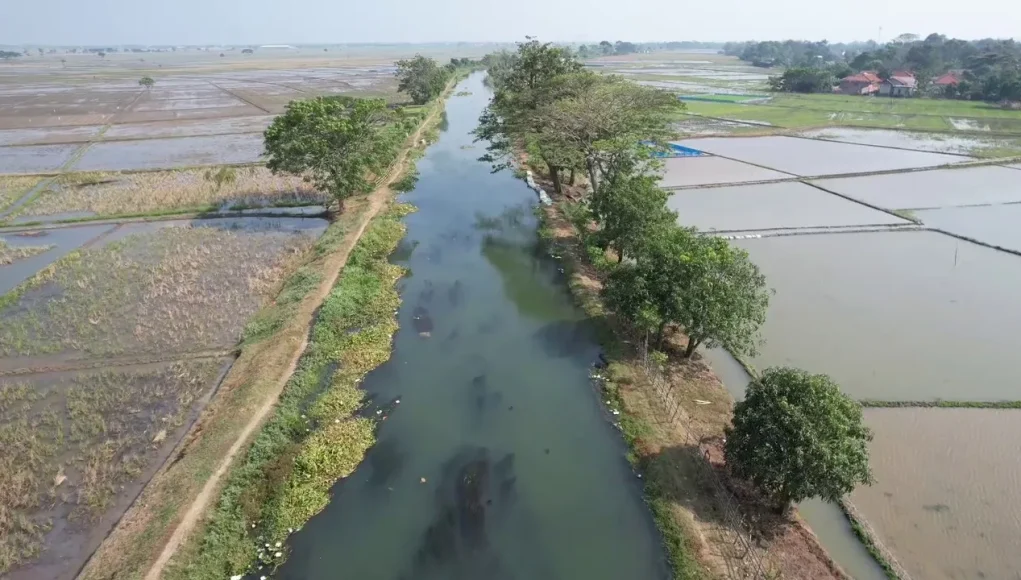 Jawab Keluhan Petani, Pemkab Bekasi Gerak Cepat Tinjau dan Benahi Saluran Irigasi Pebayuran