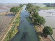 Jawab Keluhan Petani, Pemkab Bekasi Gerak Cepat Tinjau dan Benahi Saluran Irigasi Pebayuran