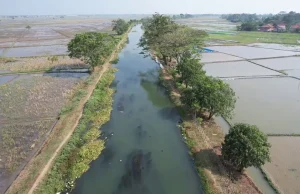 Jawab Keluhan Petani, Pemkab Bekasi Gerak Cepat Tinjau dan Benahi Saluran Irigasi Pebayuran