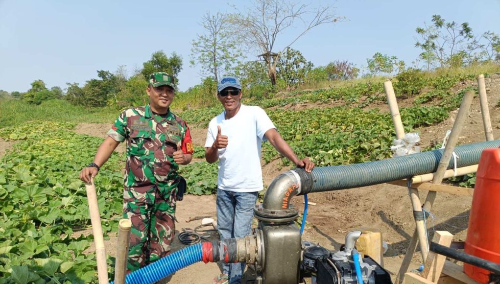 Cegah Kekeringan Lahan Pertanian, Pemkab Bekasi Kerahkan 83 Unit Pompa Air di 6 Kecamatan
