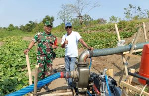 Cegah Kekeringan Lahan Pertanian, Pemkab Bekasi Kerahkan 83 Unit Pompa Air di 6 Kecamatan