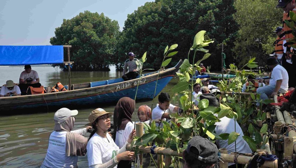 1.500 Pohon Mangrove untuk Rehabilitasi Pesisir Muaragembong