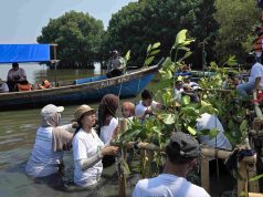 1.500 Pohon Mangrove untuk Rehabilitasi Pesisir Muaragembong