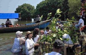 1.500 Pohon Mangrove untuk Rehabilitasi Pesisir Muaragembong